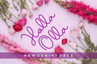 Enhance Your Brand with Holla Olla Font
